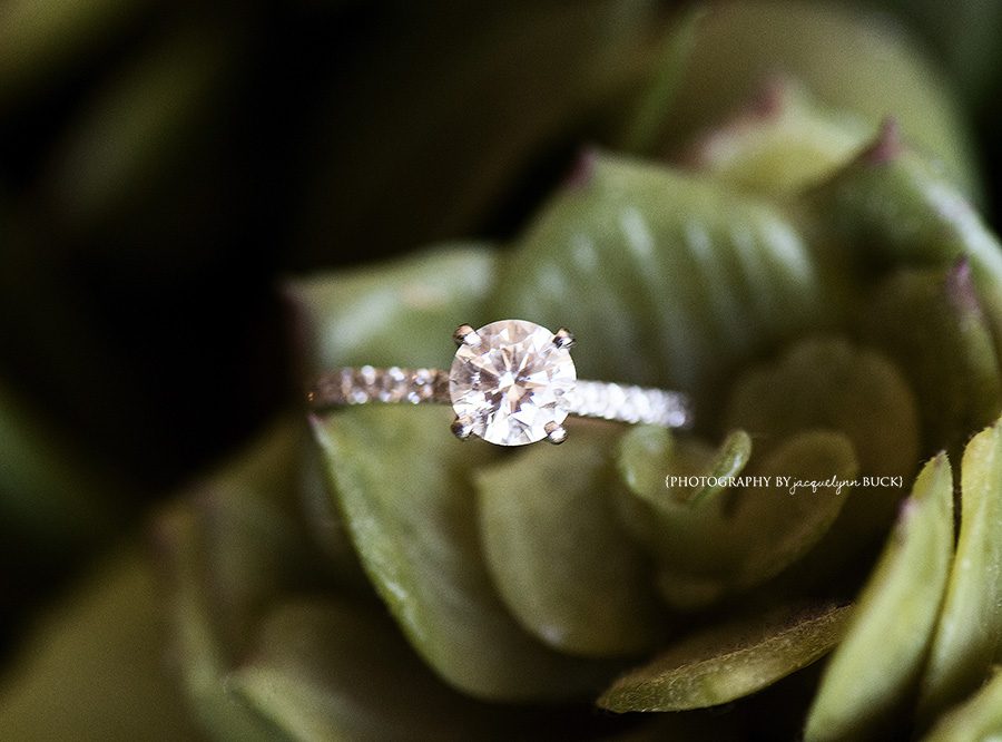 0011 lisa and michael sneak peek {photography by jacquelynn buck}