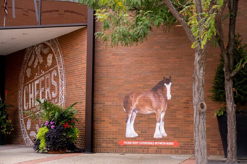 budweiser brewery entrance in st louis missouri