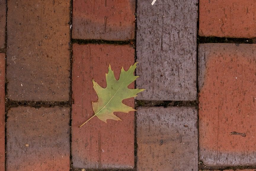 green leaf in hermann missouri 