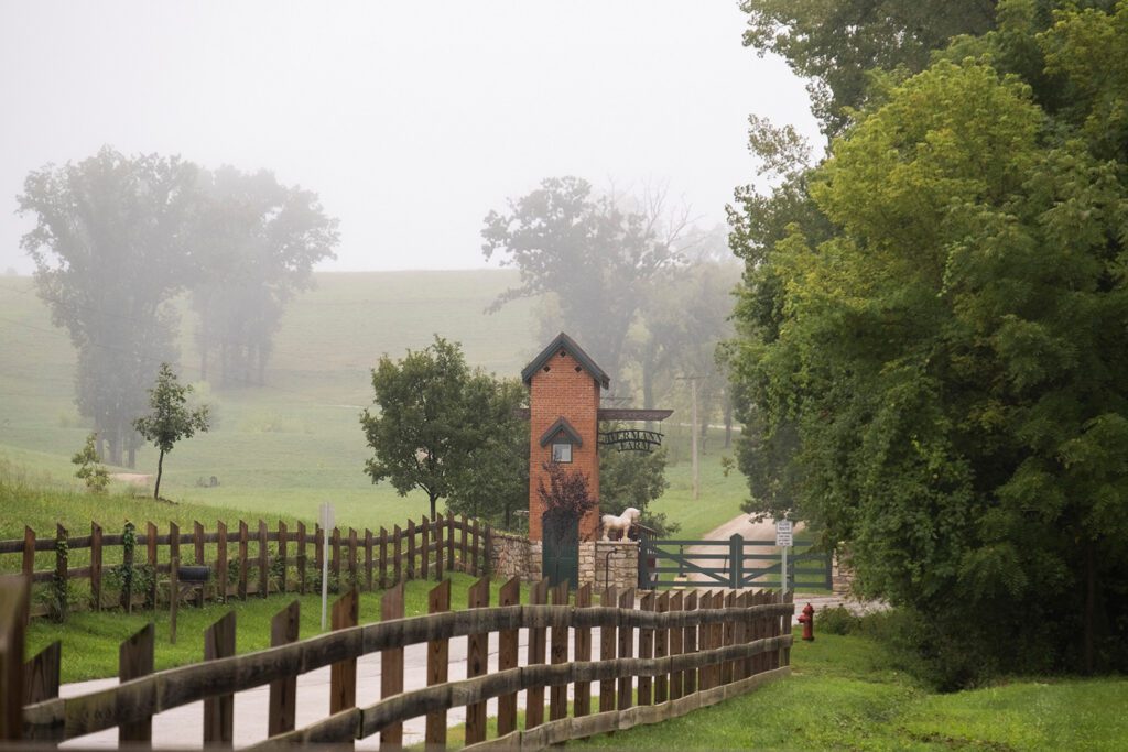 foggy morning in hermann missouri 