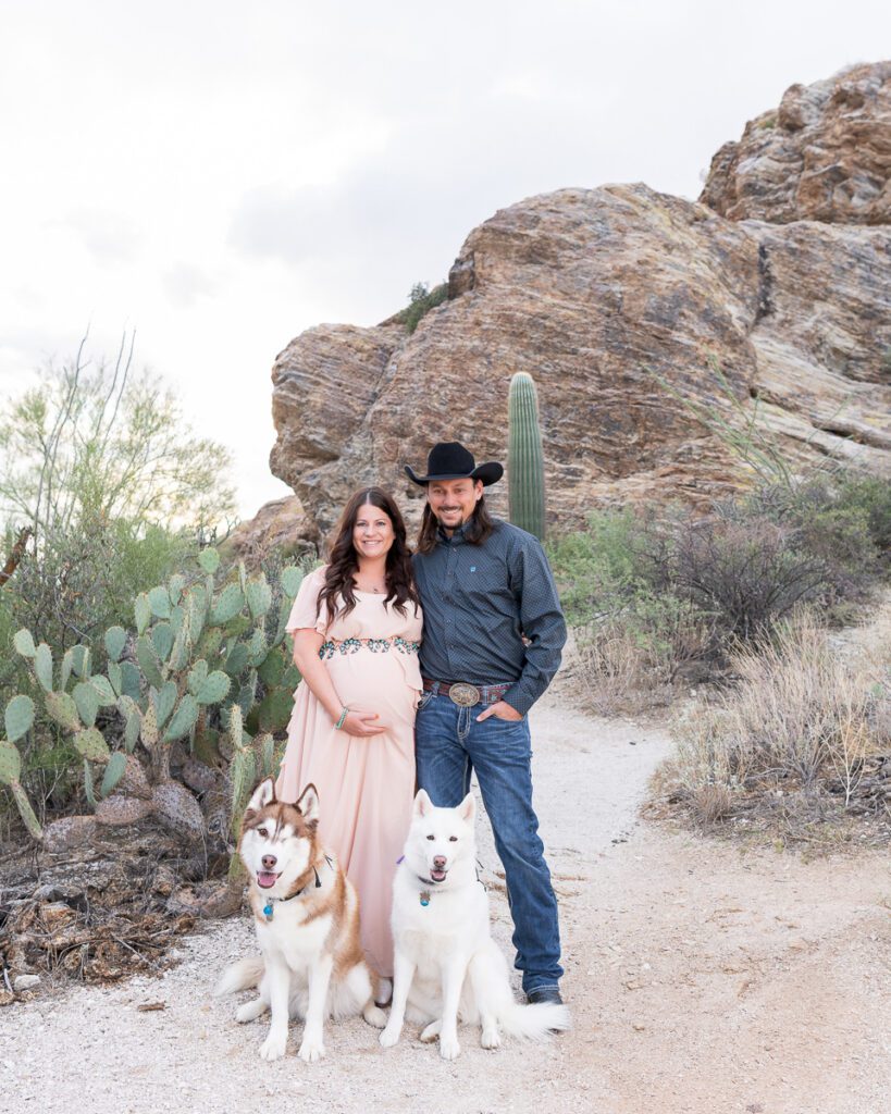 Saguaro National Park maternity session with dogs